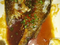 -启香鸡私房菜(湖景店)