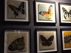 -半秋山西餐厅(巴南万达广场店)