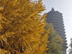 -玲珑塔公园