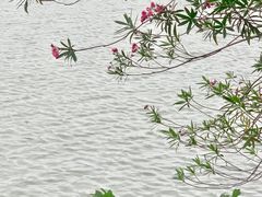 -东湖生态旅游风景区