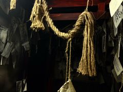 -屋有岛沉浸游戏旗舰店(中山公园店)