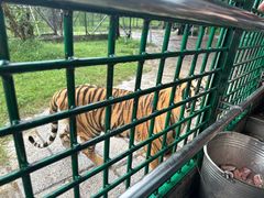 -深圳野生动物园
