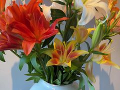 -苏帮袁·竹(北京坊店)