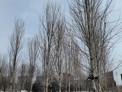 -白塔河路(地铁站)