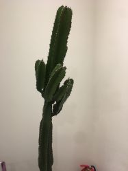 -康颜SPA自然疗愈皮肤管理中心