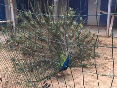 -白塘生态植物园