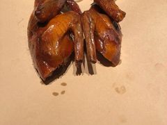 -鸽子侯·家宴·平价海鲜(市图书馆店)