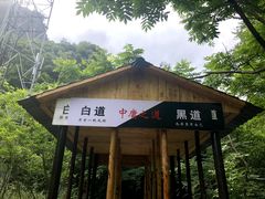 -青峰峡国家森林公园