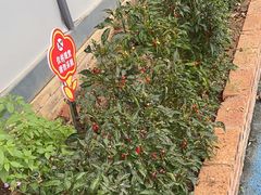 -许鲜生健康生活馆·精细潮菜(奥绅体育公园店)