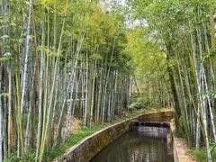 -广东温泉宾馆