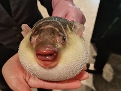 -永安鱼庄·镇江菜(东吴路店)