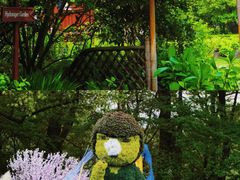 -上海共青森林公园