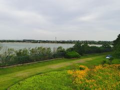 -江滩湿地公园