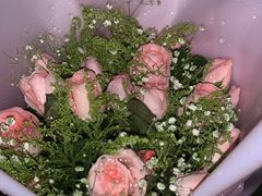 -红星电影世界上海张江绿地店