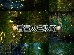 -杭州植物园