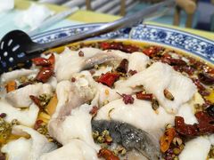 -金三可市井水煮鱼(金碧园店)