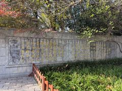 -习家池