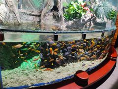 -太平洋海底世界