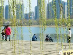 -长白岛森林公园