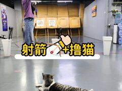 -蓝天射箭馆·专业射箭运动(诚丰广场店)