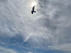 -威海国际海水浴场旅游区