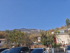 -鲁菜根·泰山菜(泰山店)