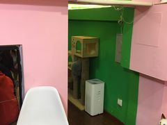 -李小姐の猫咖啡馆(五角场店)