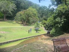 -槟城植物园