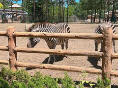 -大连森林动物园