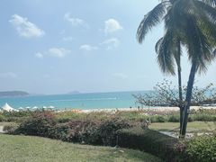 -渔家火锅·海鲜自助餐·演艺(亚龙湾天域酒店)