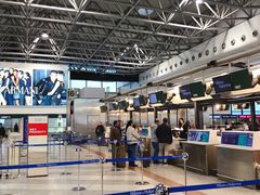 -米兰马尔彭萨国际机场