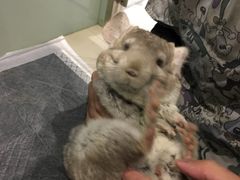 -雨林宠物医院 非犬猫异宠专科