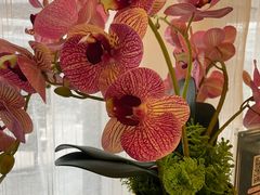 -楚禾宴·家宴(光谷大道店)