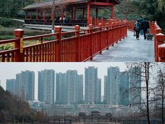 -重庆彩云湖湿地公园