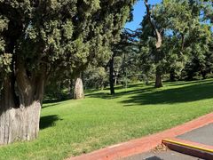 -墨尔本皇家植物园