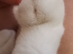 -成都尼依格罗酒店