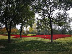 -杭州城北体育公园