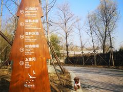 -林栖谷森林康养度假区