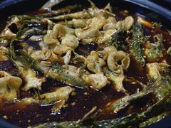 -金海椒罐罐鲢鱼(东方桂苑店)