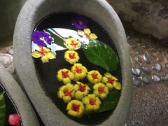 -100蛋泥浆浴