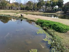 -美兰湖景区