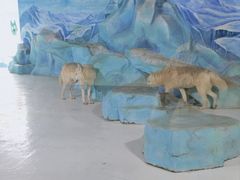 -哈尔滨极地公园