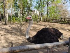 -大连森林动物园