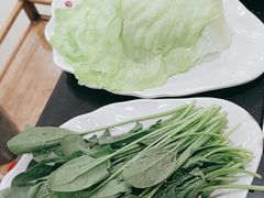 -芦月轩羊蝎子(北蜂窝店)