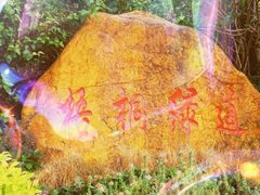 -梧桐山风景名胜区