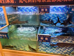 -饭橘汉江码头·乡野土菜馆(静安路店)