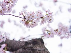 -维乐口腔医院(星海湾分院)