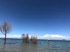 -青海湖国家重点风景名胜区