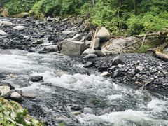 -凤凰山国家森林公园