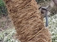 -上海市龙华烈士陵园